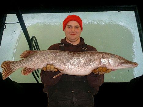 Darkhouse Rentals are available at Little Winnie Resort