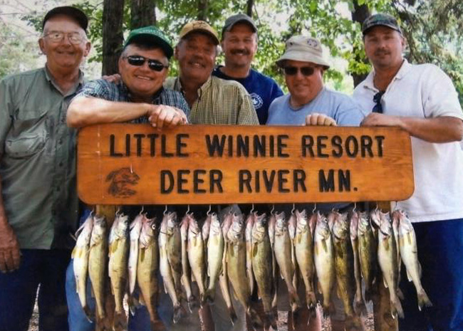 Minnesota Walleye Fishing at Little Winnie Resort A successful day of walleye fishing at Little Winnie Resort.